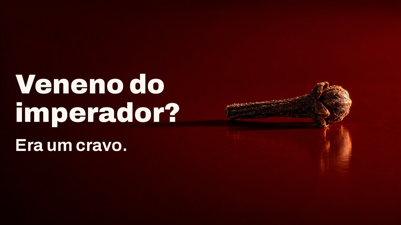 Veneno do imperador? Era um cravo. Um único botão escuro de cravo deitado numa bandeja de laca vermelhão brilhante como um pequeno prego de ferro, iluminado com luz dura de um lado, sua sombra comprida se estendendo pela laca.
