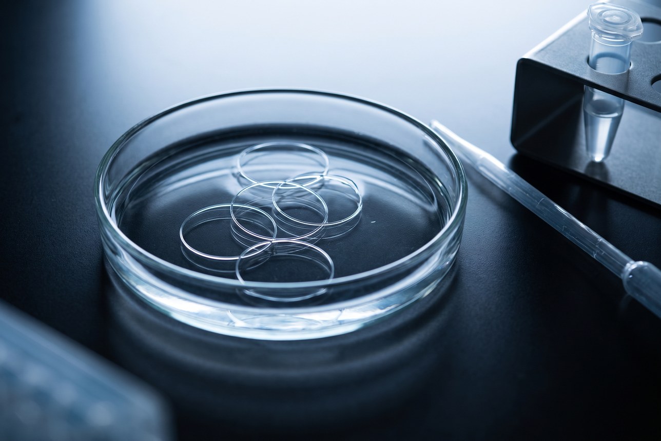 Oral microbiome DNA research: closed circular DNA loops suspended in a clear dish under cold light