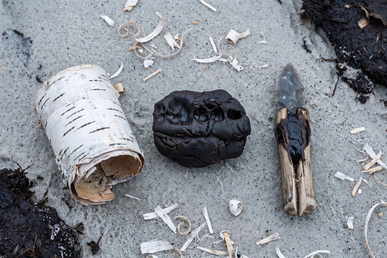 Xylitol for teeth: chewed Stone Age birch bark tar with tooth impressions, birch bark curl and a hafted flint blade on coastal sand