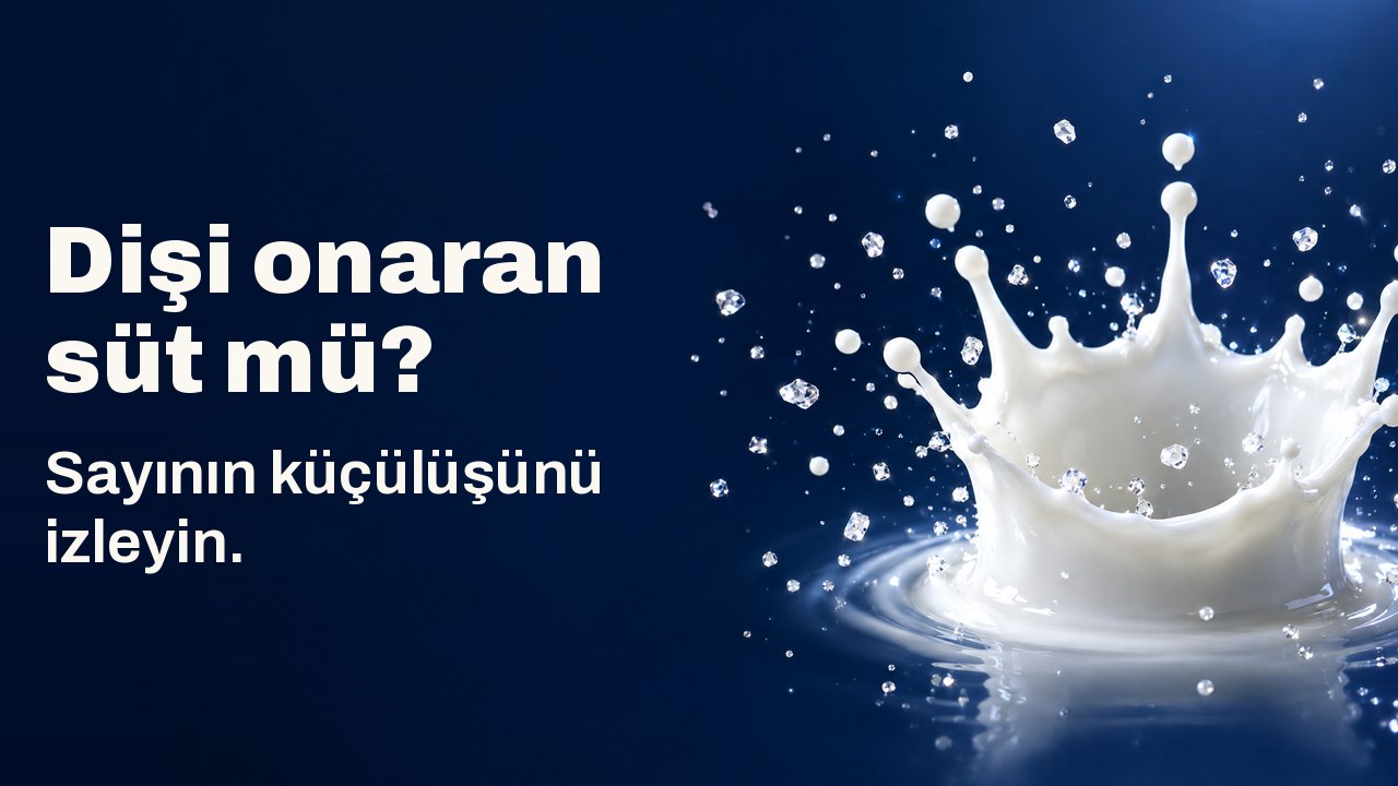 Dişi onaran süt mü? Sayının küçülüşünü izleyin. Havada donmuş bir süt damlası tacı ve minik parıldayan kristaller, koyu lacivert fonda.