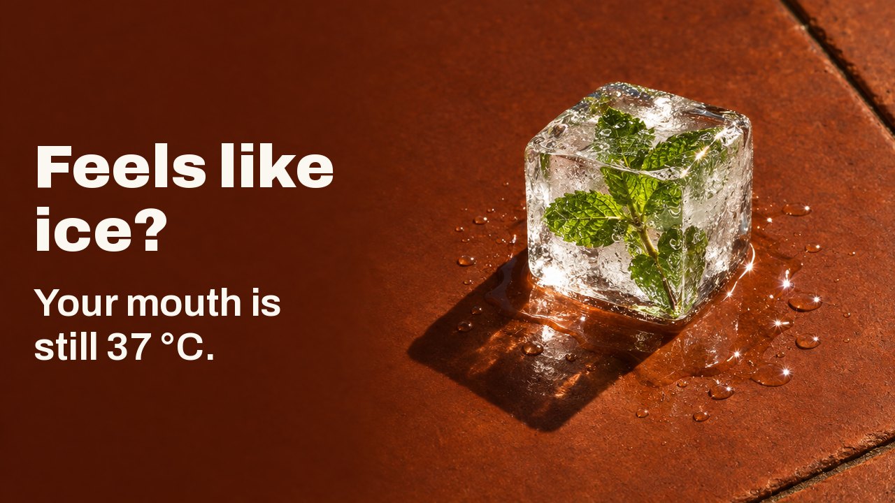 Feels like ice? Your mouth is still 37 °C. A single cube of clear ice with a sprig of mint frozen inside it, melting on a sunbaked terracotta tile in hard afternoon light.