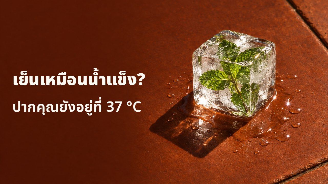 เย็นเหมือนน้ำแข็ง? ปากคุณยังอยู่ที่ 37 °C ก้อนน้ำแข็งใสก้อนเดียวที่มีกิ่งสะระแหน่แช่แข็งอยู่ข้างใน กำลังละลายบนกระเบื้องดินเผาที่ร้อนจากแดด ภายใต้แสงบ่ายที่จัดจ้า