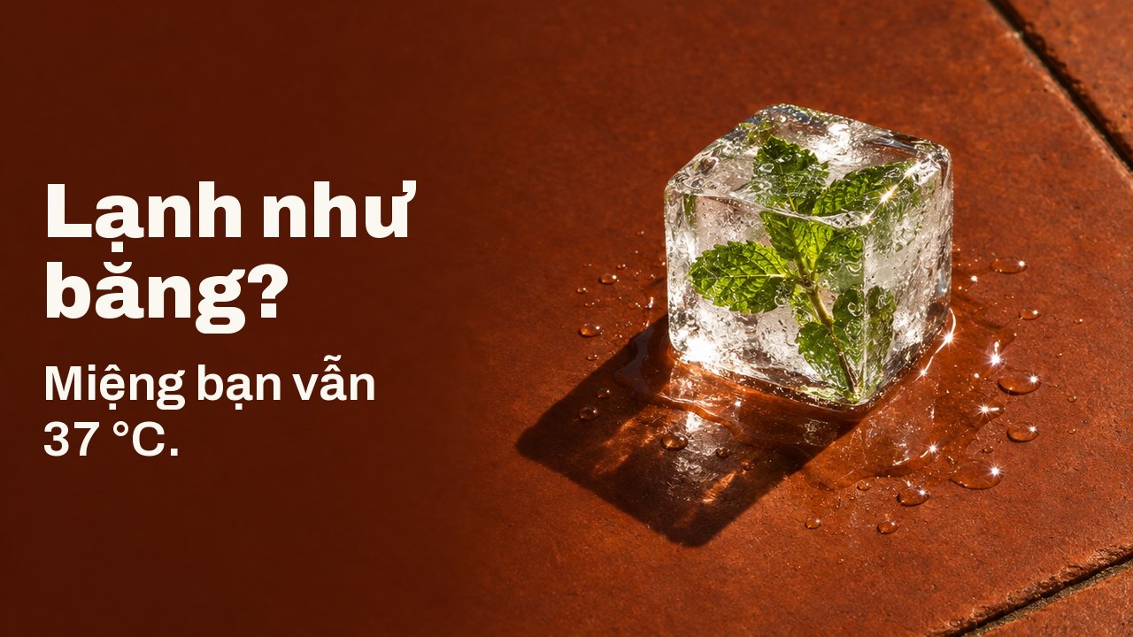 Lạnh như băng? Miệng bạn vẫn 37 °C. Một viên đá trong suốt có nhánh bạc hà đông cứng bên trong, đang tan trên viên gạch đất nung nóng nắng dưới ánh chiều gắt.