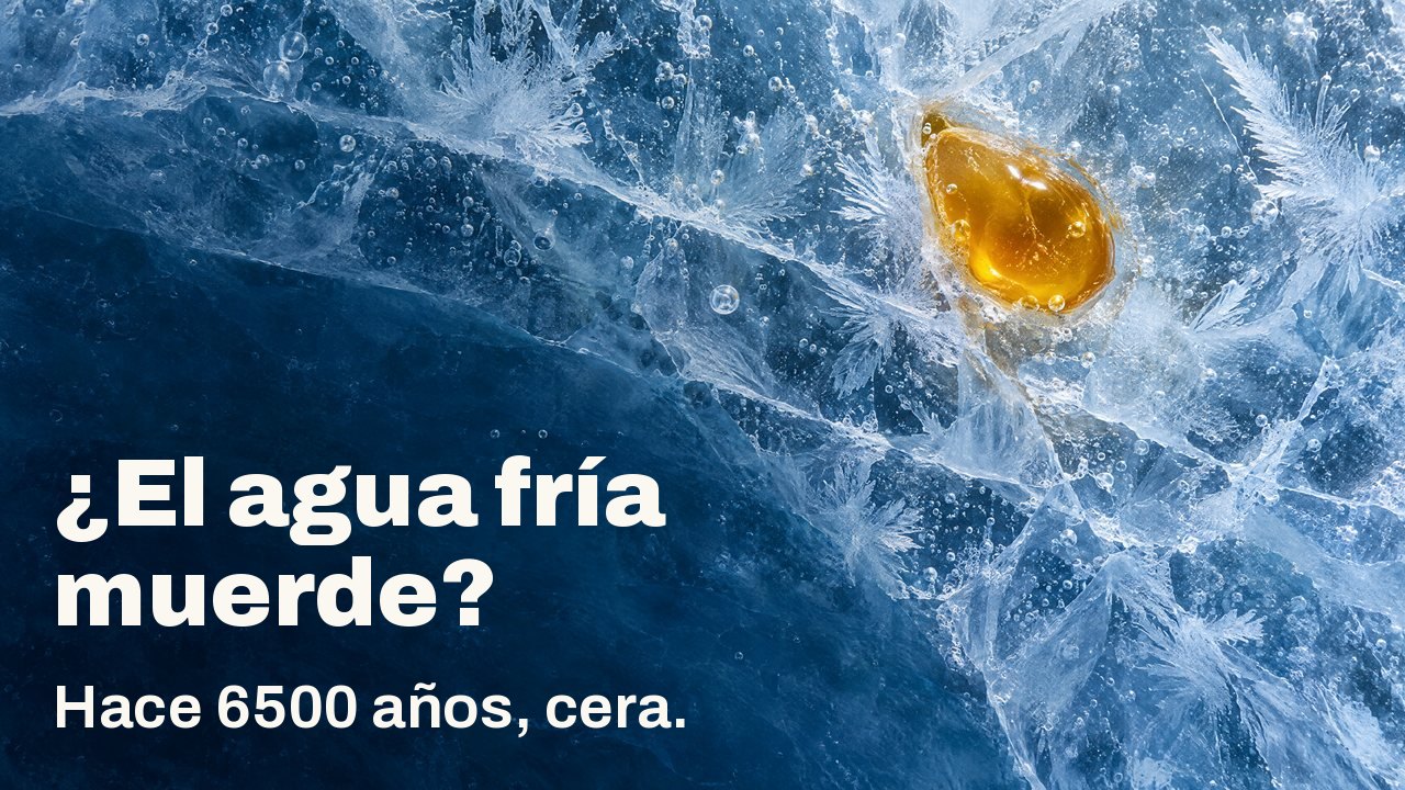¿El agua fría muerde? Hace 6500 años, cera. Visto desde arriba: una gota de cera de abeja dorada atrapada en hielo azul agrietado, con escarcha y burbujas de aire.