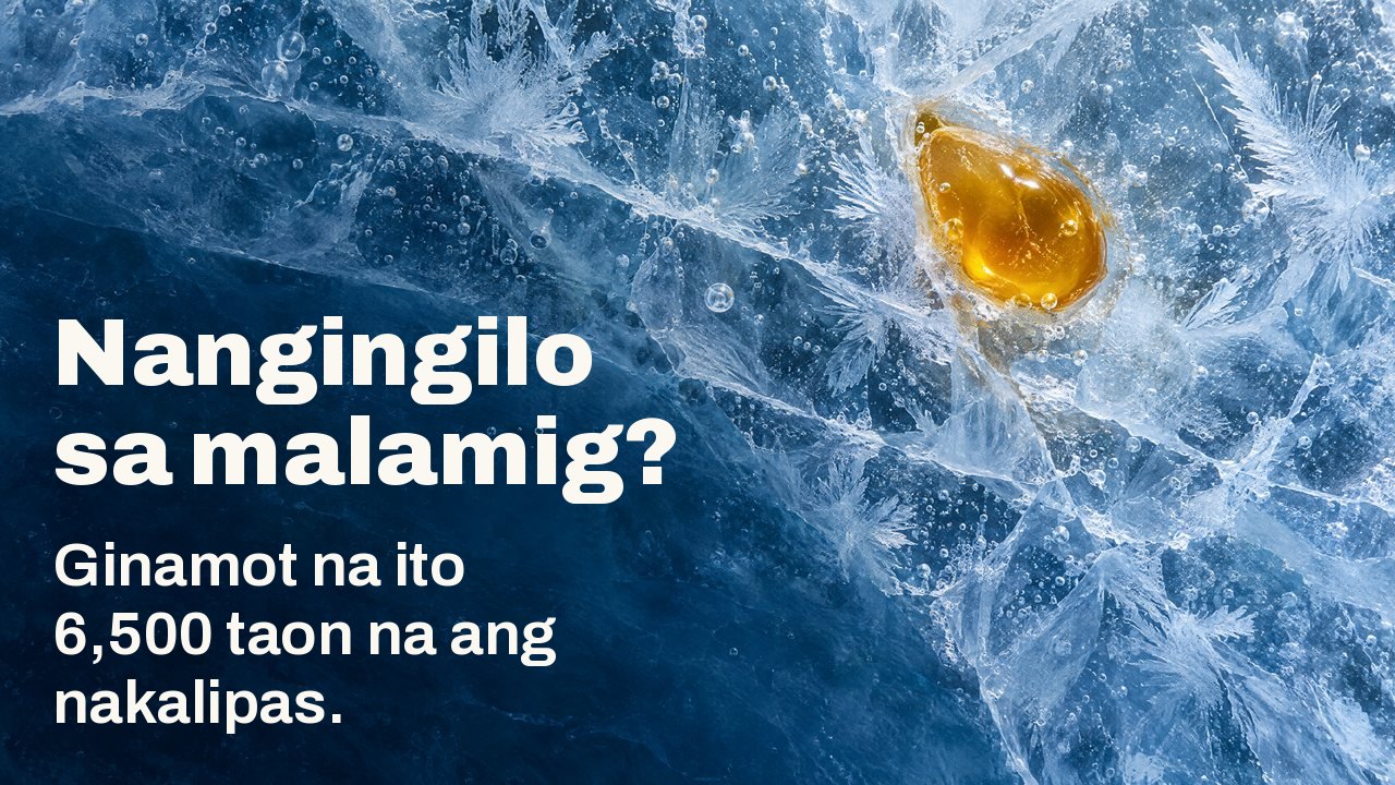 Nangingilo sa malamig? Ginamot na ito 6,500 taon na ang nakalipas. Mula sa itaas: isang patak ng gintong pagkit ng bubuyog na nagyelo sa loob ng basag na asul na yelo, may mga kristal ng hamog na yelo at bula ng hangin.