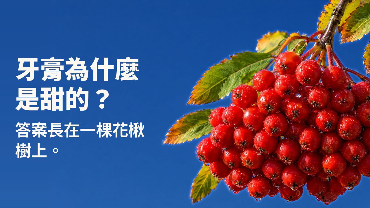 牙膏為什麼是甜的？ 答案長在一棵花楸樹上。 一大串熟透的鮮紅花楸果掛著露珠，垂在帶秋葉的枝頭，背景是晴朗的深藍天空。
