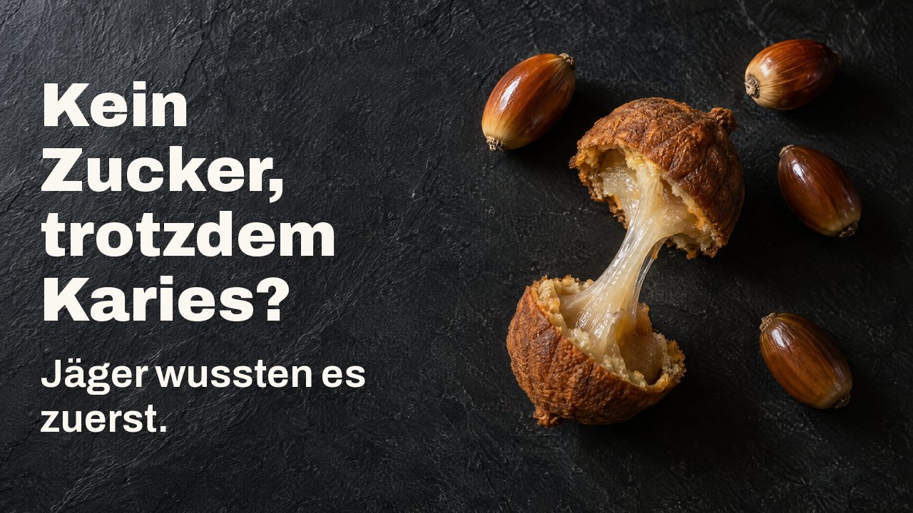 Kein Zucker, trotzdem Karies? Jäger wussten es zuerst. Von oben: geschälte Eicheln und ein geteilter Eichelfladen, zwischen den Hälften ein klebriger Stärkefaden, auf dunklem Schiefer.