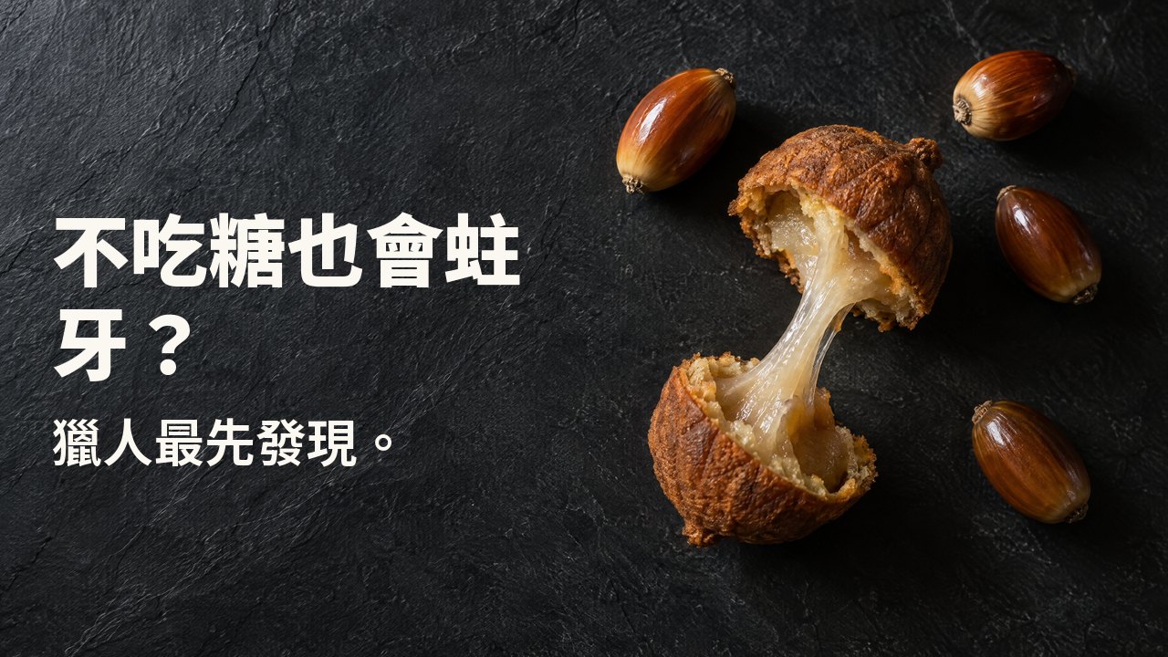 不吃糖也會蛀牙？ 獵人最先發現。 俯視：去殼的橡實和掰開的橡實餅，兩半之間拉出一縷黏稠的澱粉絲，置於深色板岩上。