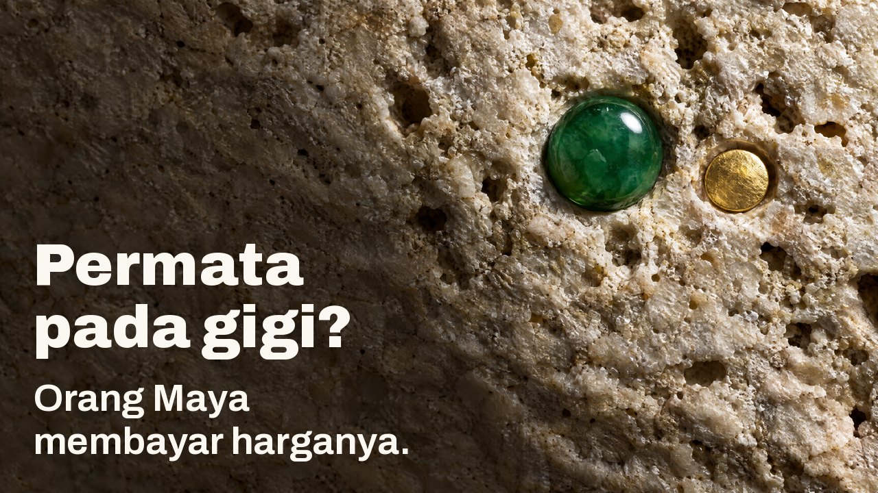 Permata pada gigi? Orang Maya membayar harganya. Makro dalam cahaya condong: permata jed berkilat dan cakera emas kecil terbenam dalam batu kapur cerah yang kasar.
