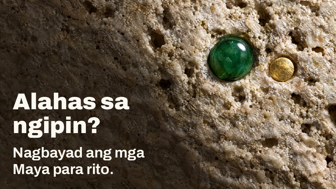 Alahas sa ngipin? Nagbayad ang mga Maya para rito. Macro sa pahilis na liwanag: makinis na jade at maliit na gintong disko na nakabaon sa magaspang na mapusyaw na limestone.