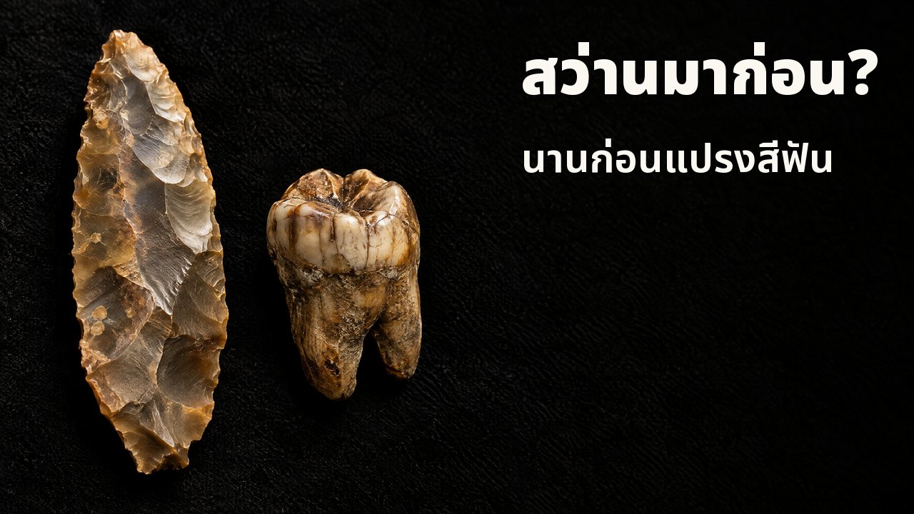 สว่านมาก่อน? นานก่อนแปรงสีฟัน ใต้สปอตไลต์พิพิธภัณฑ์: ใบมีดหินเหล็กไฟโบราณข้างฟันกรามฟอสซิลบนกำมะหยี่สีดำ