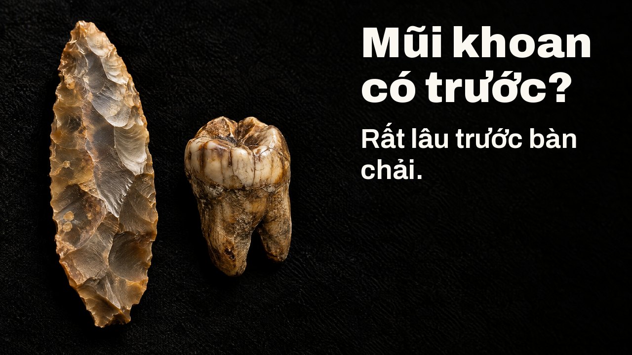 Mũi khoan có trước? Rất lâu trước bàn chải. Dưới đèn rọi bảo tàng: lưỡi dao đá lửa cổ đại bên chiếc răng hàm hóa thạch trên nhung đen.