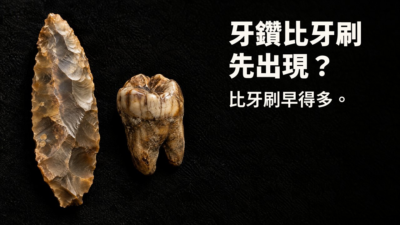 牙鑽比牙刷先出現？ 比牙刷早得多。 博物館聚光燈下：一片古老的燧石刀刃與一顆化石臼齒，置於黑色絲絨上。
