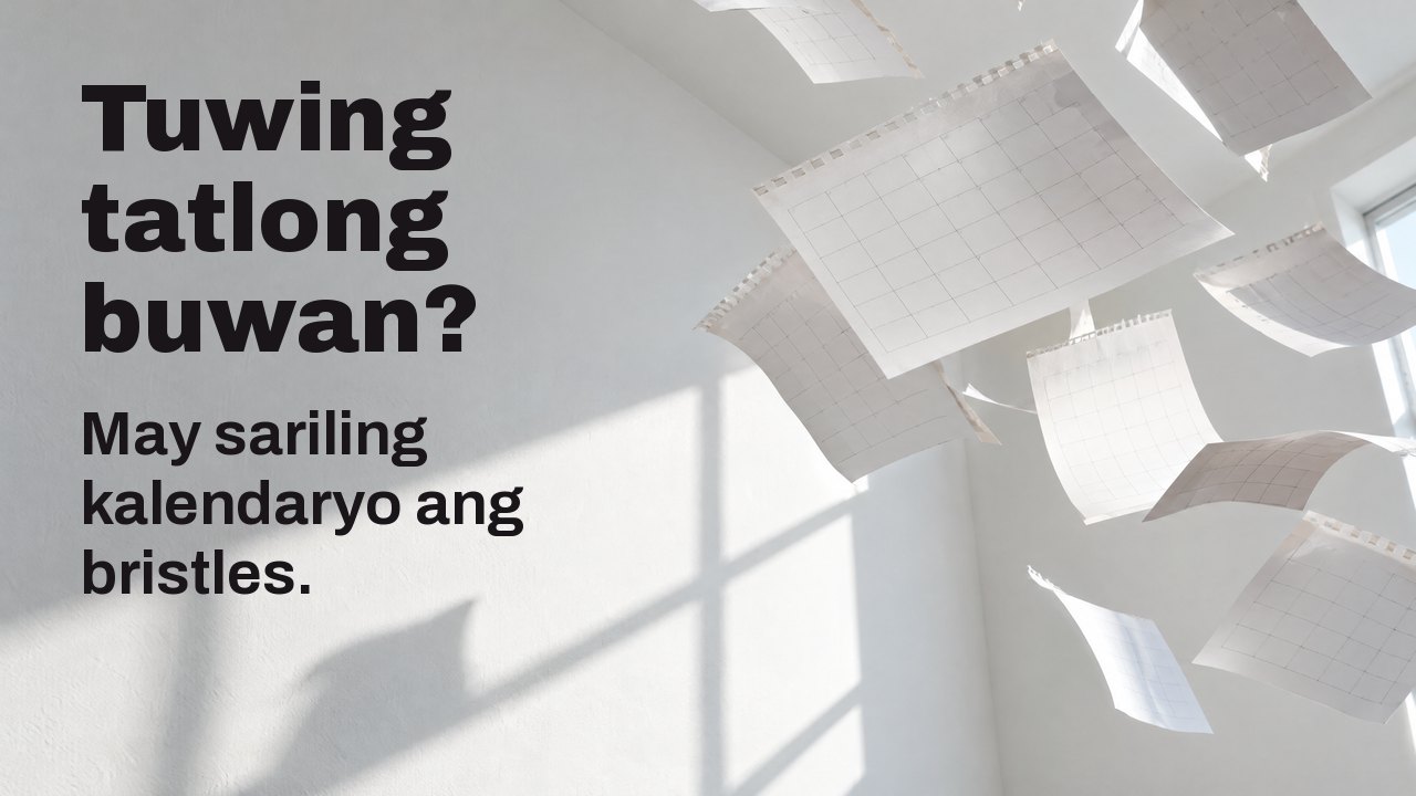 Tuwing tatlong buwan? May sariling kalendaryo ang bristles. Mga blangkong pahina ng kalendaryong pinunit at lumilipad sa puting silid na naaarawan, nakahinto sa ere.