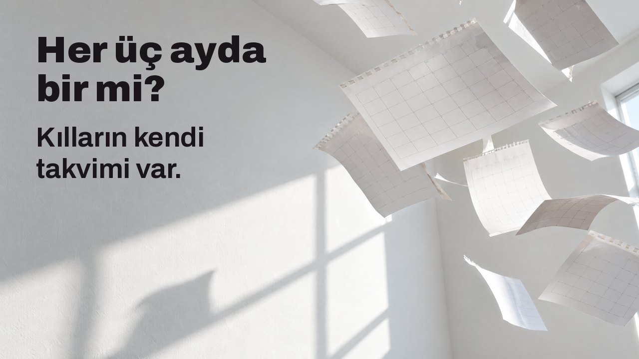 Her üç ayda bir mi? Kılların kendi takvimi var. Koparılmış boş takvim sayfaları beyaz, güneşli bir odada uçuşuyor, havada donmuş.