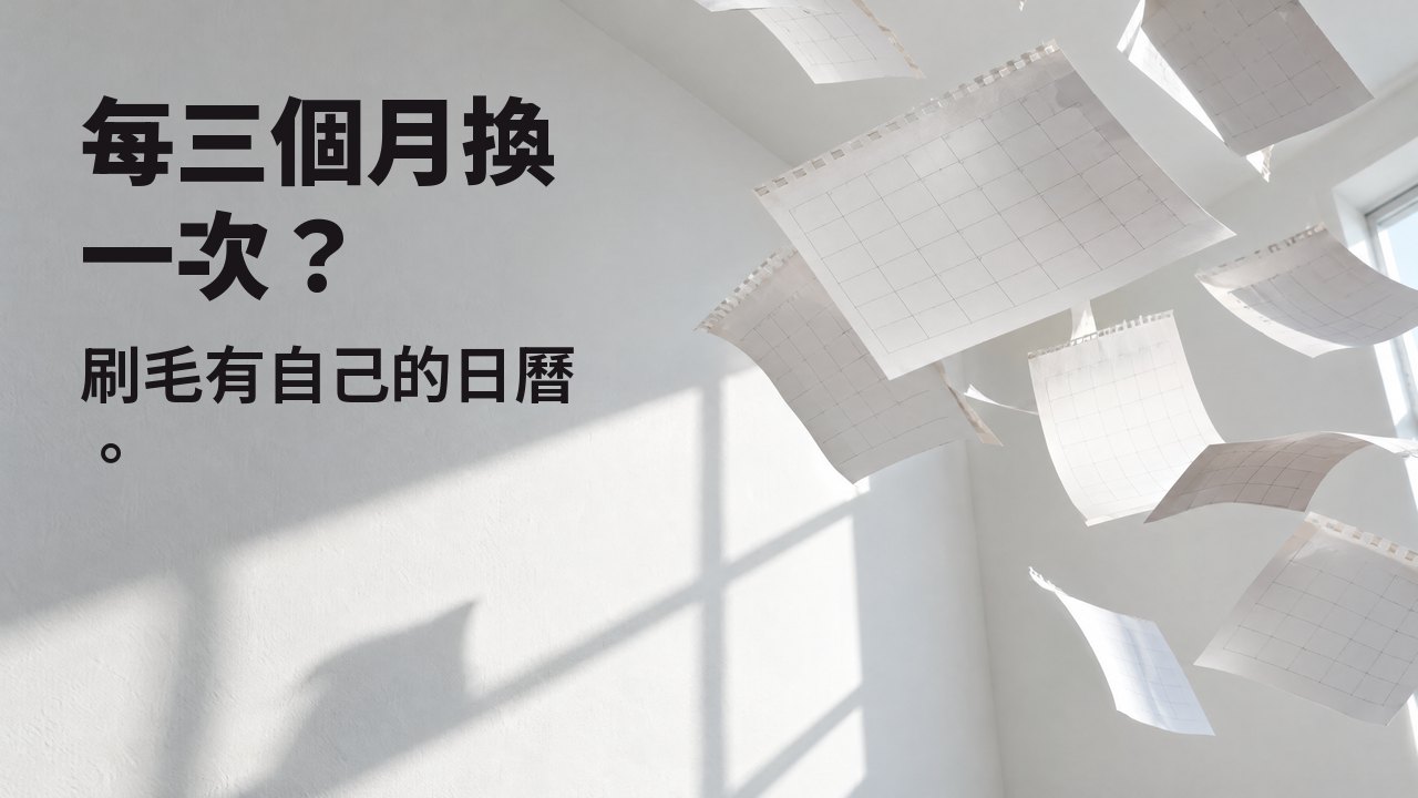 每三個月換一次？ 刷毛有自己的日曆。 撕下的空白日曆頁在灑滿陽光的白色房間裡飛舞，凝結在半空。