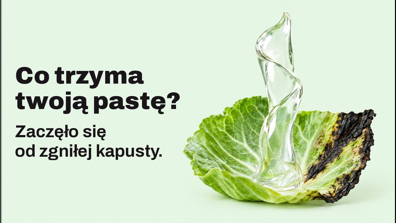 Co trzyma twoją pastę? Zaczęło się od zgniłej kapusty. Z bliska, na wysokości liścia, na bladomiętowym tle: lśniąca wstęga przezroczystego żelu wznosi się pionowo ze świeżego liścia kapusty o poczerniałym brzegu i stoi sama jak rzeźba.