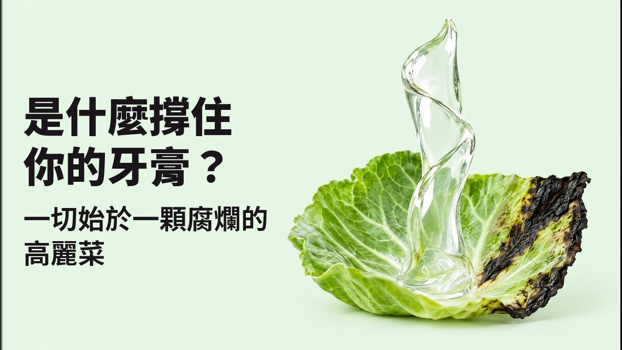 是什麼撐住你的牙膏？ 一切始於一顆腐爛的高麗菜 貼近葉面高度的特寫，背景是淡薄荷綠：一條光亮的透明凝膠從一片新鮮、葉緣已經變黑的高麗菜葉中直立升起，像雕塑般自己站著。