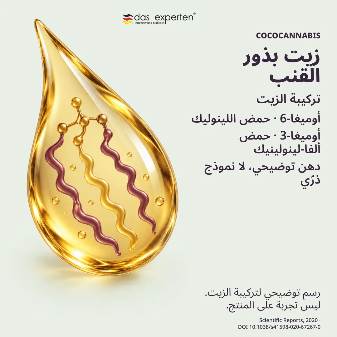 رسم توضيحي لقطرة زيت بذور القنب ومكوّنَي أوميغا 6 وأوميغا 3 في تركيبة الزيت