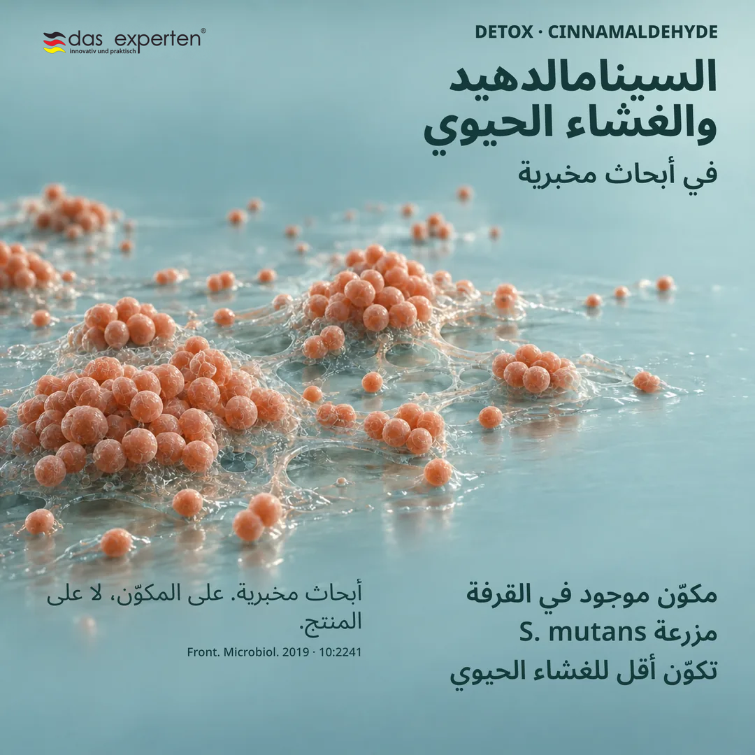 رسم توضيحي مخبري لمزرعة S. mutans مع السينامالدهيد من القرفة: تكوّن أقل للغشاء الحيوي