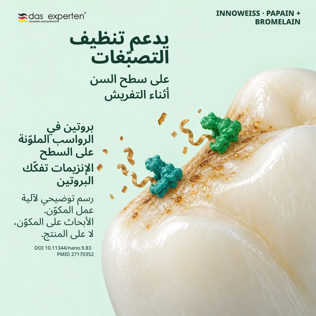 رسم توضيحي للباباين والبروميلين يفكّكان البروتين في تصبّغات سطح السن أثناء التفريش