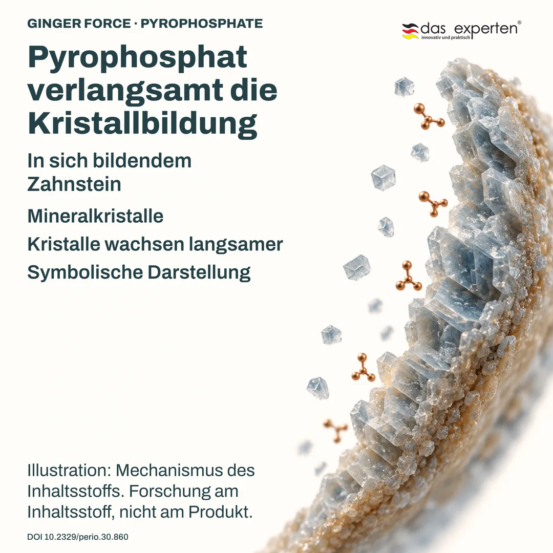 Illustration: Mineralkristalle in sich bildendem Zahnstein wachsen mit Pyrophosphat langsamer