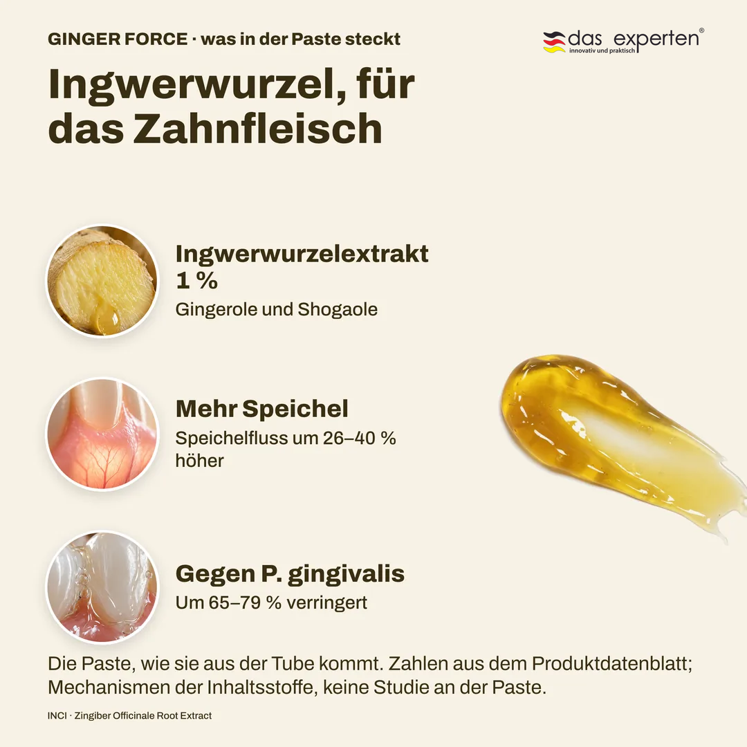 Ingwerwurzel, für das Zahnfleisch, Ingwerwurzelextrakt 1 %; Mehr Speichel; Gegen P. gingivalis