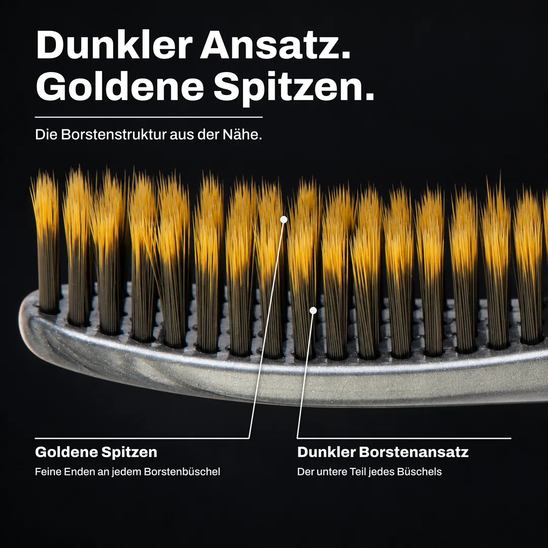 Dunkler Ansatz. Goldene Spitzen. Die Borstenstruktur aus der Nähe. Goldene Spitzen: Feine Enden an jedem Borstenbüschel. Dunkler Borstenansatz: Der untere Teil jedes Büschels.