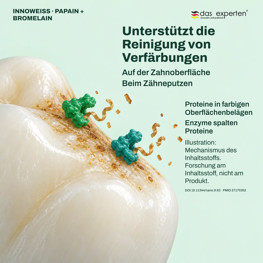 Illustration: Enzyme spalten Proteine in farbigen Belägen auf der Zahnoberfläche und unterstützen die Reinigung von Verfärbungen