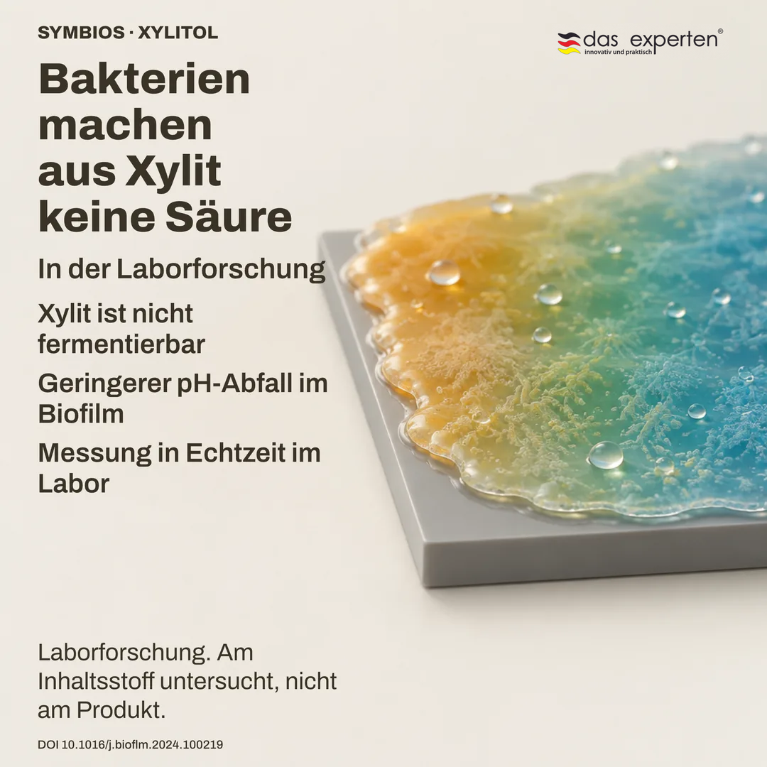 Schematischer Biofilm auf einer neutralen Oberfläche mit geringerem pH Abfall bei Xylit, eine Labormessung