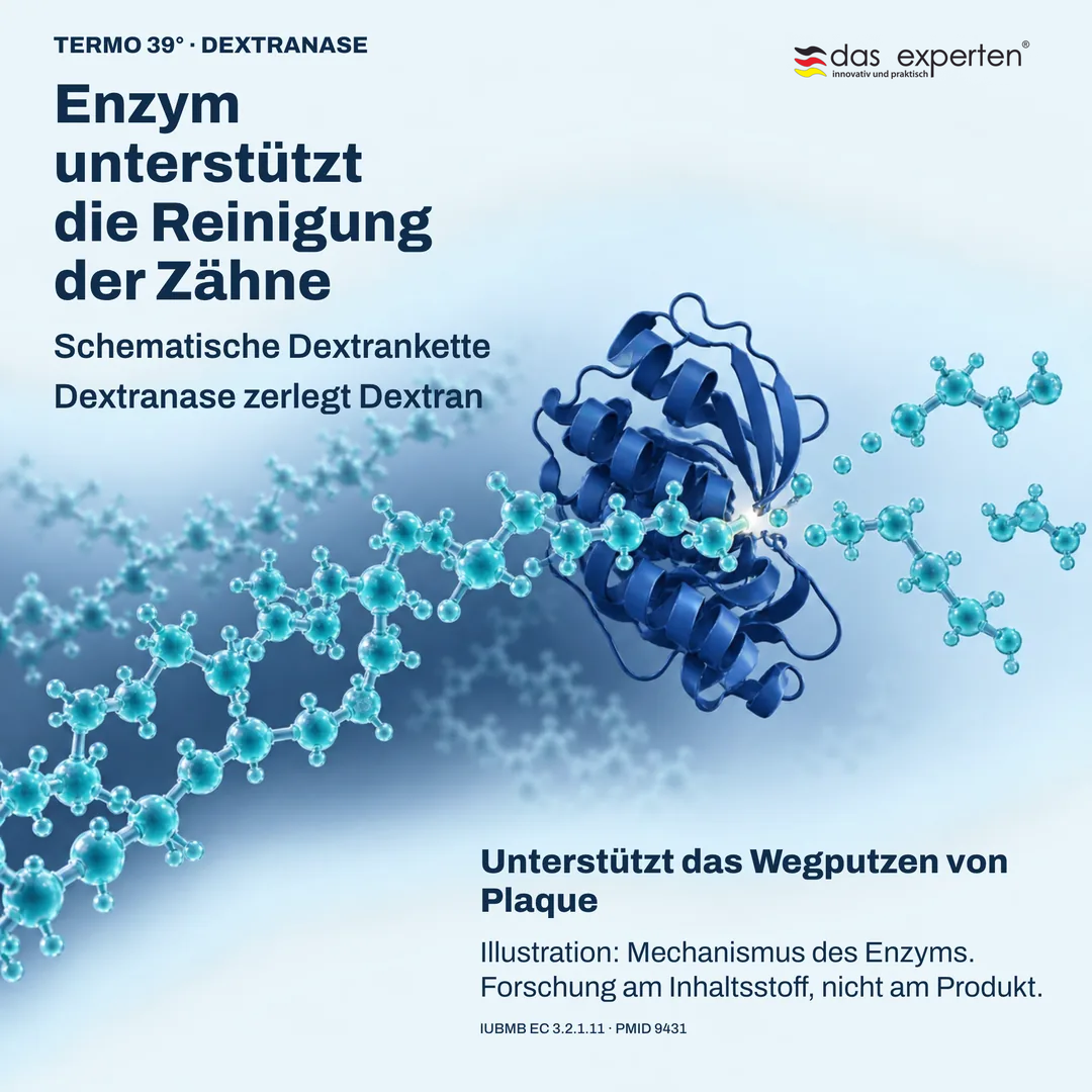Illustration: Dextranase zerlegt eine Dextrankette, ein Enzym unterstützt die Reinigung der Zähne und das Wegputzen von Plaque