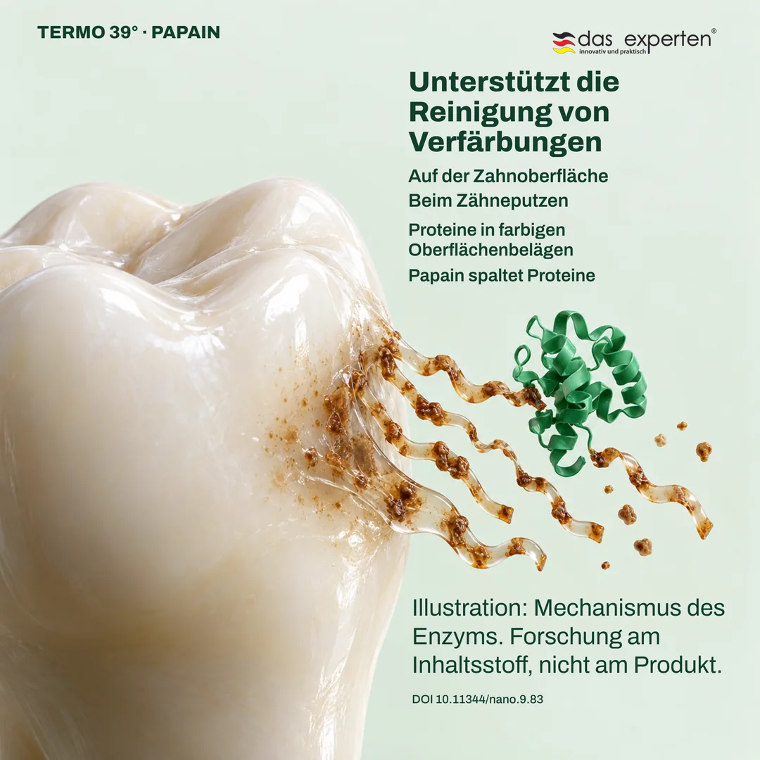 Illustration: Papain spaltet Proteine in farbigen Belägen auf der Zahnoberfläche und unterstützt die Reinigung von Verfärbungen