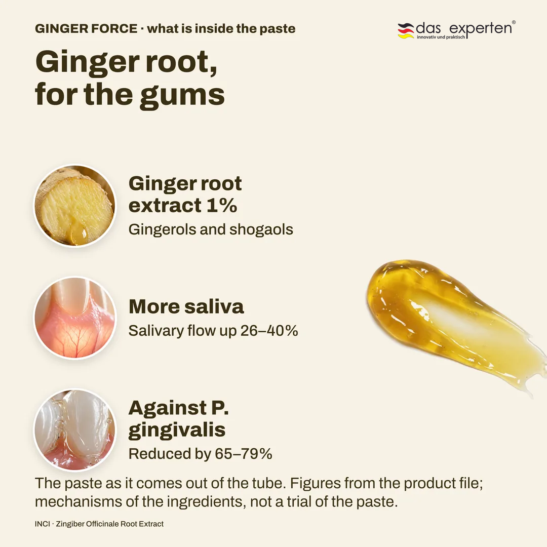 GINGER FORCE toothpaste texture: golden paste with 1% ginger root extract, salivary flow up 26 to 40%, P. gingivalis down 65 to 79%