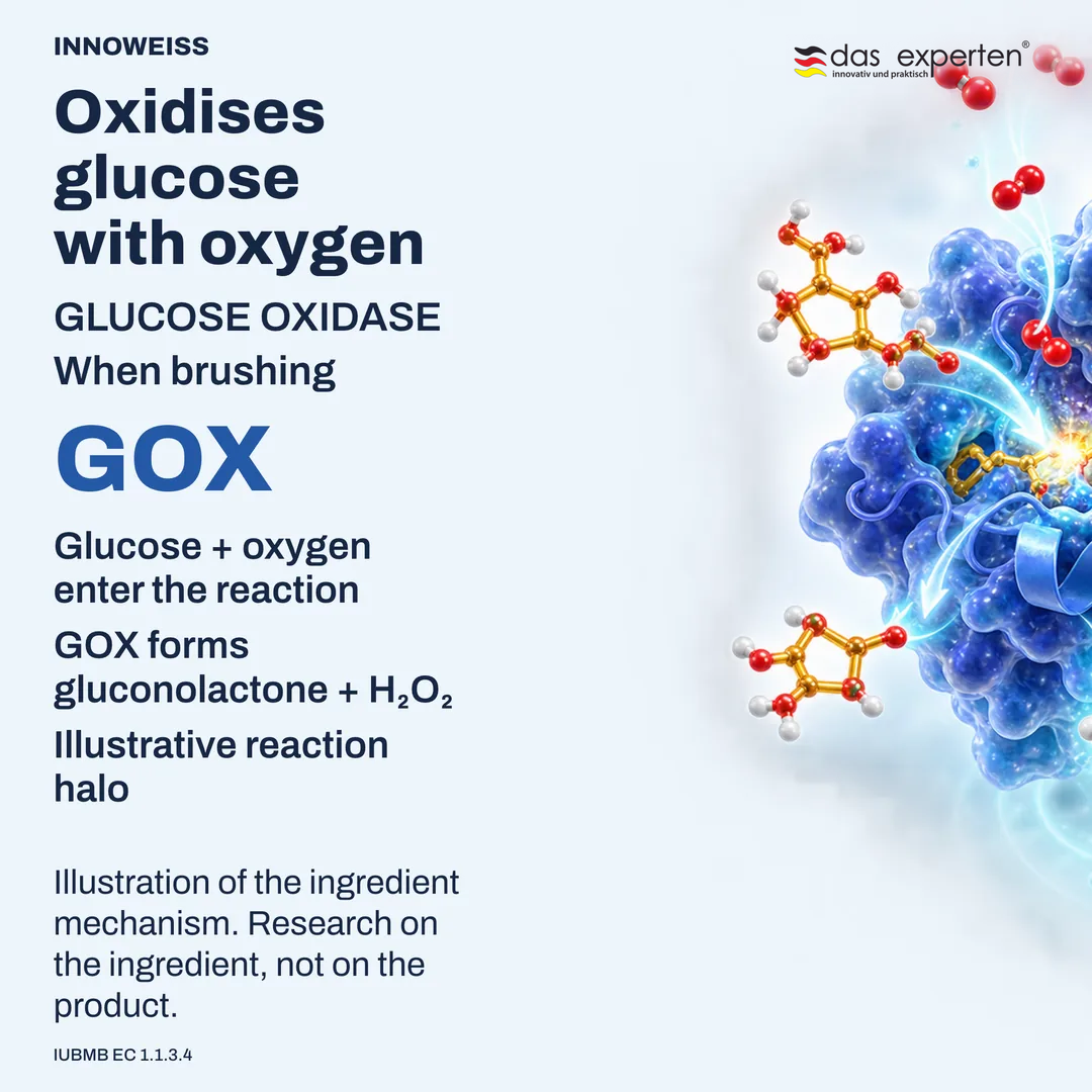 Illustration of glucose oxidase converting glucose with oxygen into gluconolactone and hydrogen peroxide during brushing