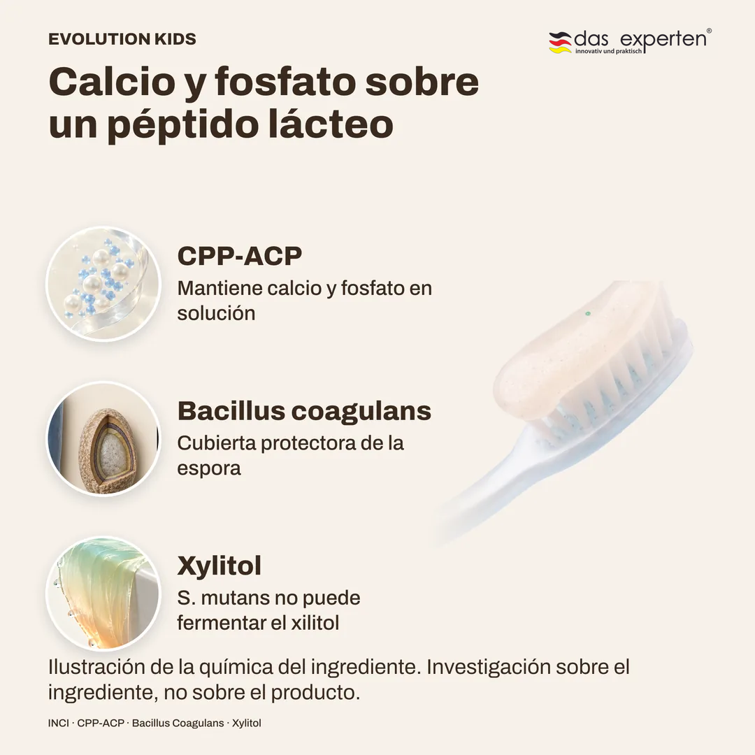 Calcio y fosfato sobre un péptido lácteo · Bacillus coagulans · Xylitol