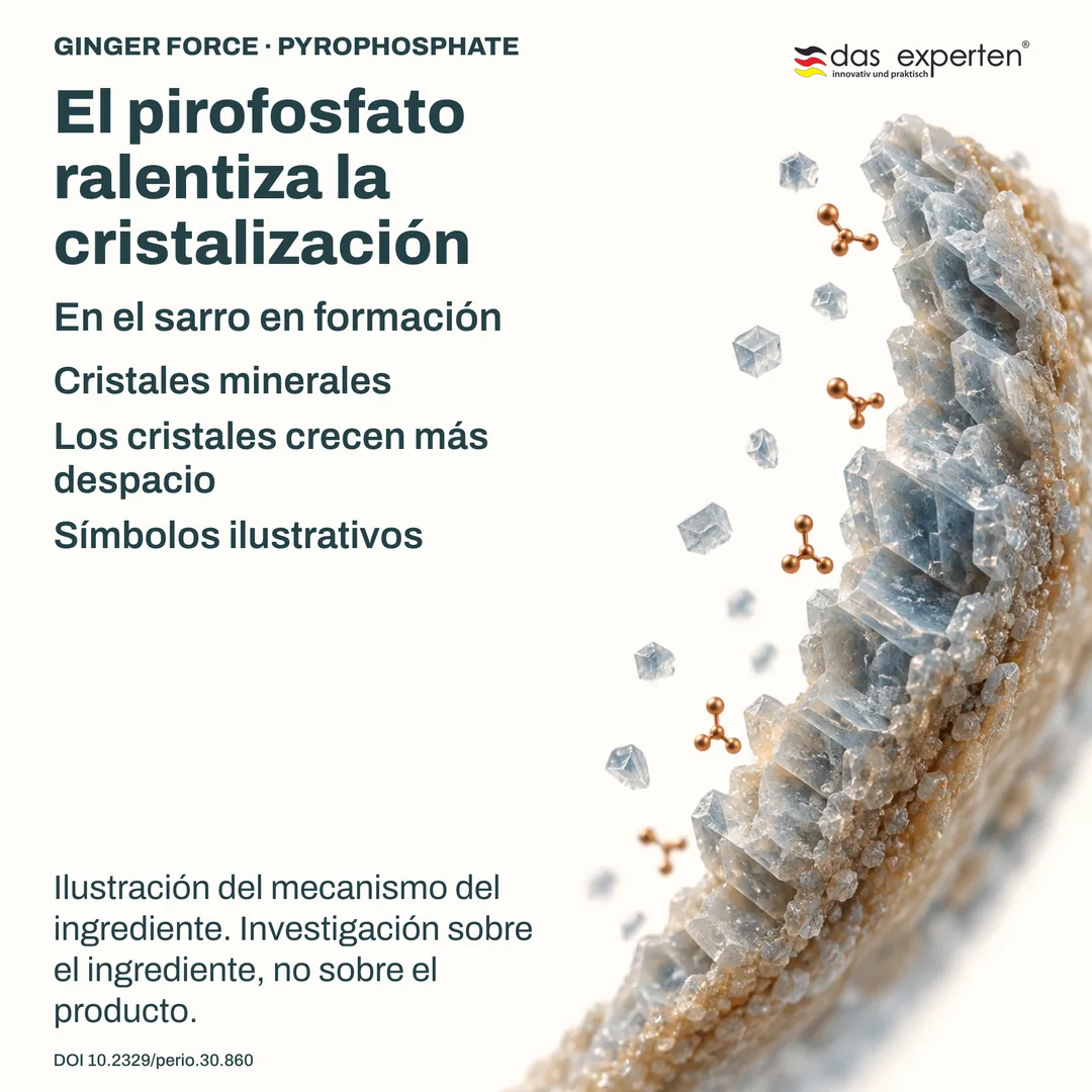Ilustración de cristales minerales del sarro en formación que crecen más despacio con pirofosfato