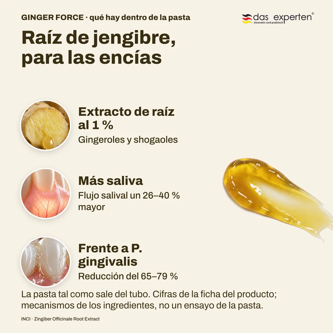 Raíz de jengibre, para las encías, Extracto de raíz al 1 %; Más saliva; Frente a P. gingivalis