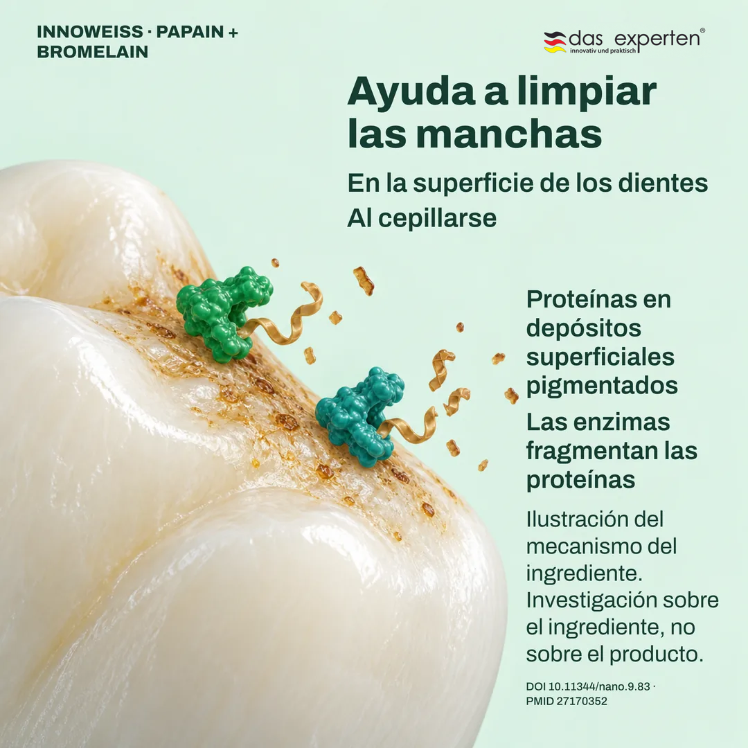 Ilustración de enzimas que fragmentan proteínas en depósitos pigmentados del diente: ayuda a limpiar las manchas