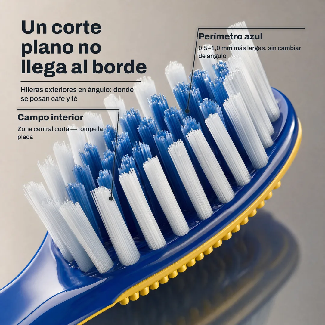 Un corte plano no llega al borde, Hileras exteriores en ángulo: donde se posan café y té · Perímetro azul: 0,5 a 1,0 mm más largas, sin cambiar de ángulo · Campo interior: Zona central corta, rompe la placa