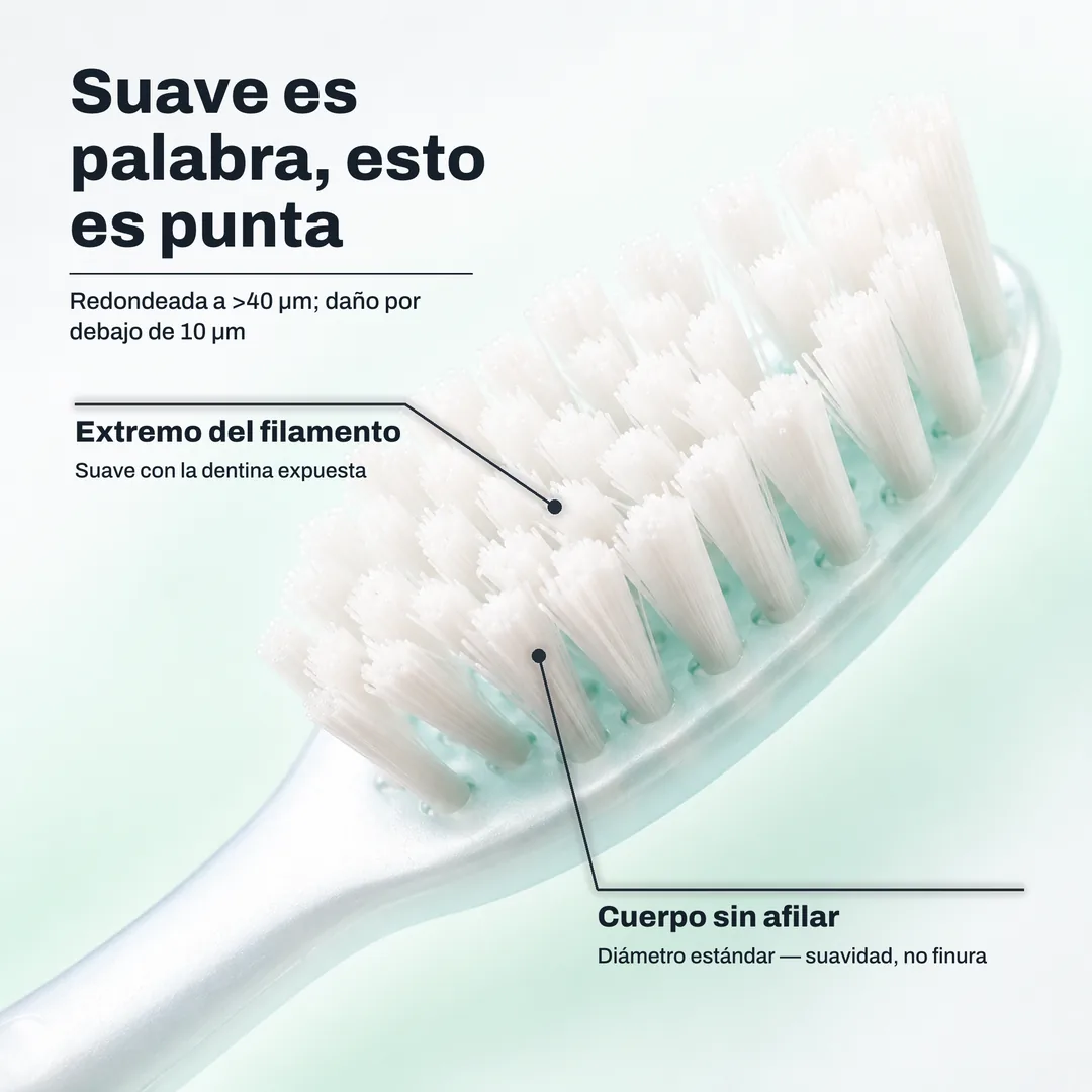 Suave es palabra, esto es punta, Redondeada a >40 μm; daño por debajo de 10 μm · Extremo del filamento: Suave con la dentina expuesta · Cuerpo sin afilar: Diámetro estándar, suavidad, no finura