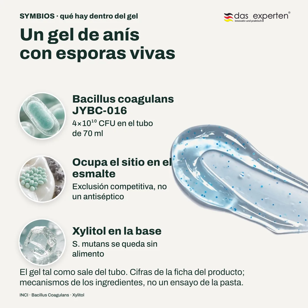 Un gel de anís con esporas vivas, Bacillus coagulans JYBC 016; Ocupa el sitio en el esmalte; Xylitol en la base