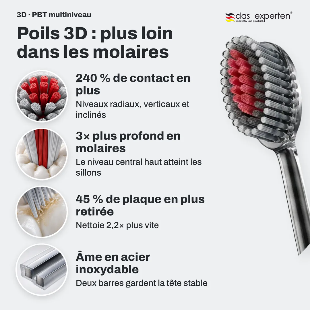 Poils 3D : plus loin dans les molaires, 240 % de contact en plus; 3× plus profond en molaires; 45 % de plaque en plus retirée; Âme en acier inoxydable