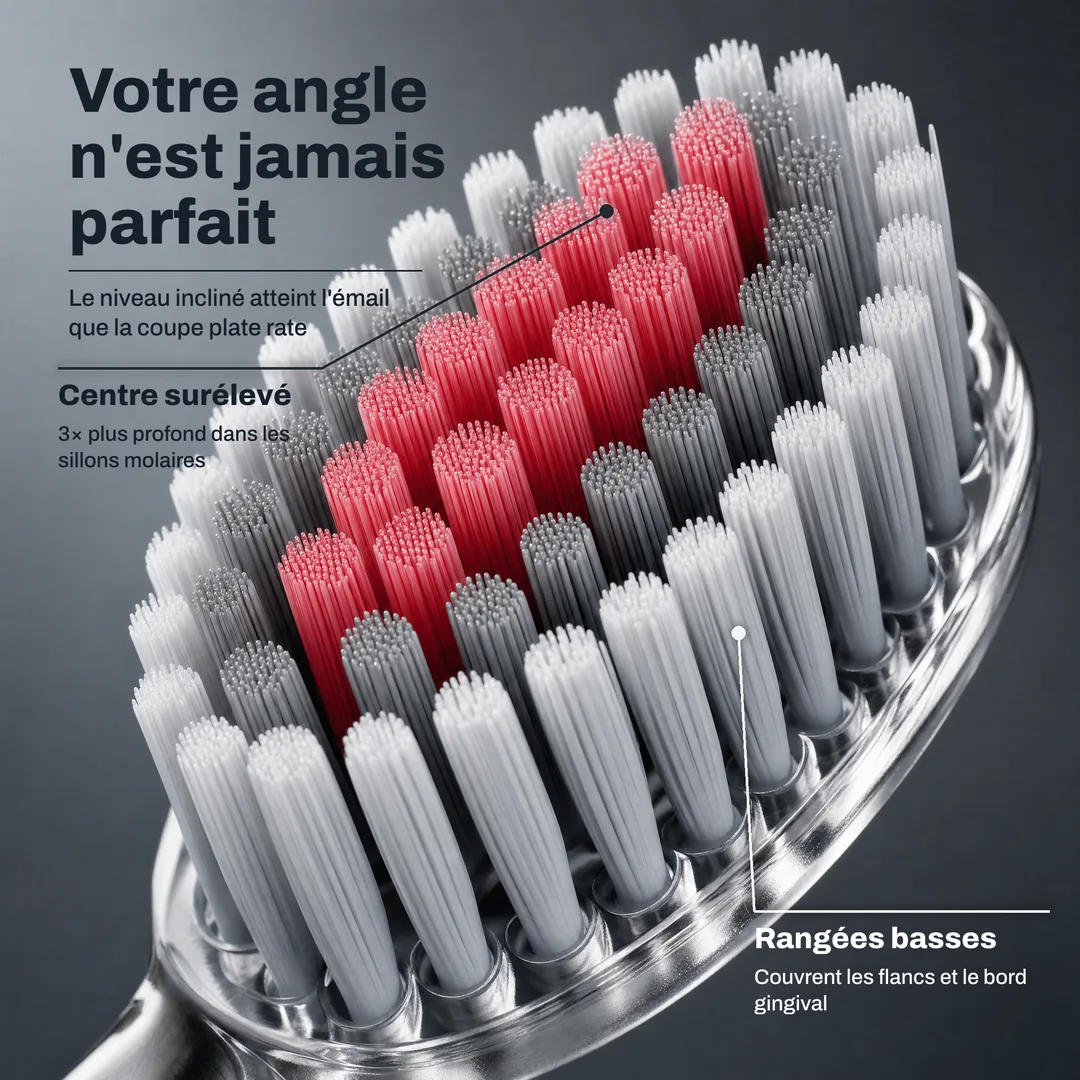 Votre angle n'est jamais parfait, Le niveau incliné atteint l'émail que la coupe plate rate · Centre surélevé: 3× plus profond dans les sillons molaires · Rangées basses: Couvrent les flancs et le bord gingival