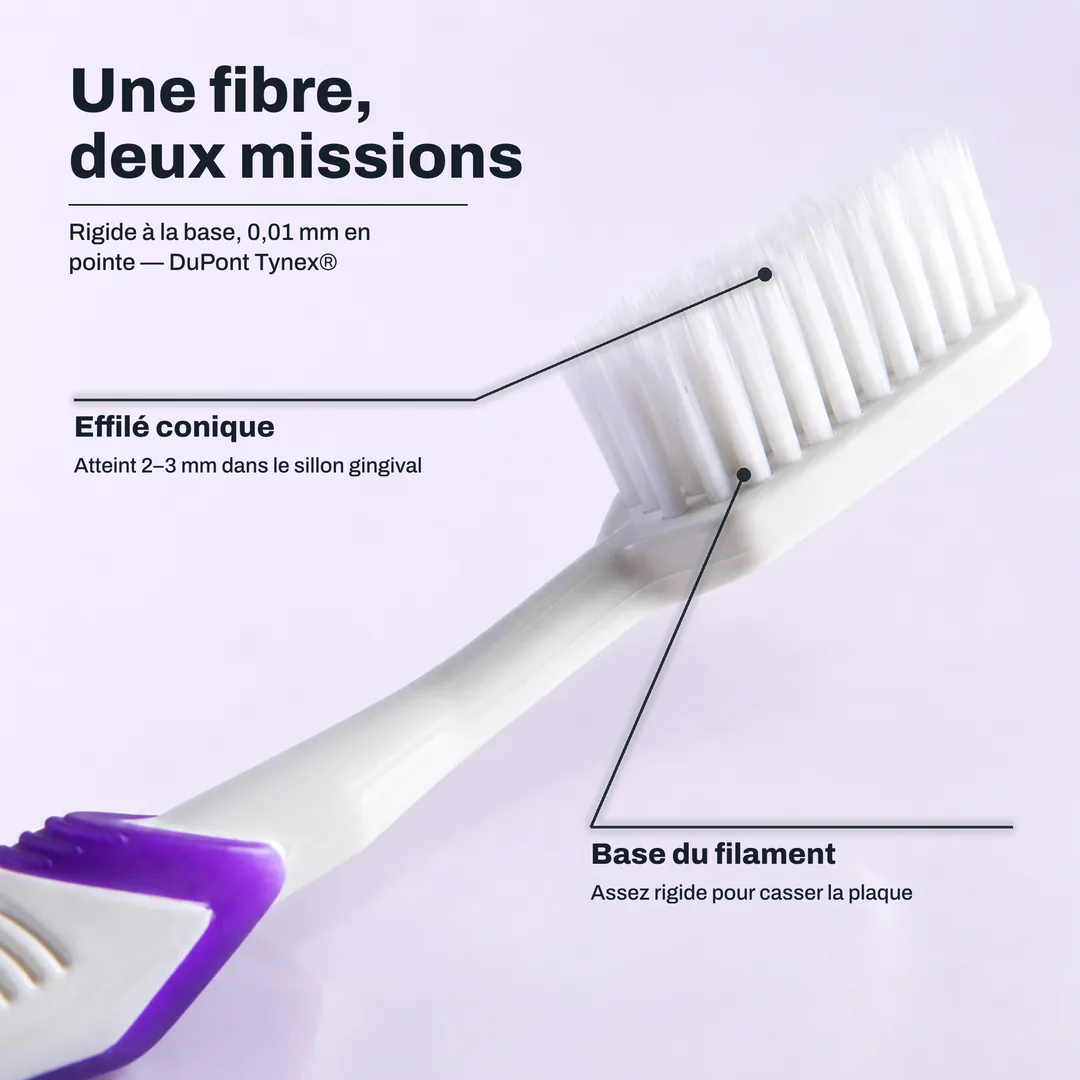 Une fibre, deux missions, Rigide à la base, 0,01 mm en pointe, DuPont Tynex® · Effilé conique: Atteint 2 à 3 mm dans le sillon gingival · Base du filament: Assez rigide pour casser la plaque