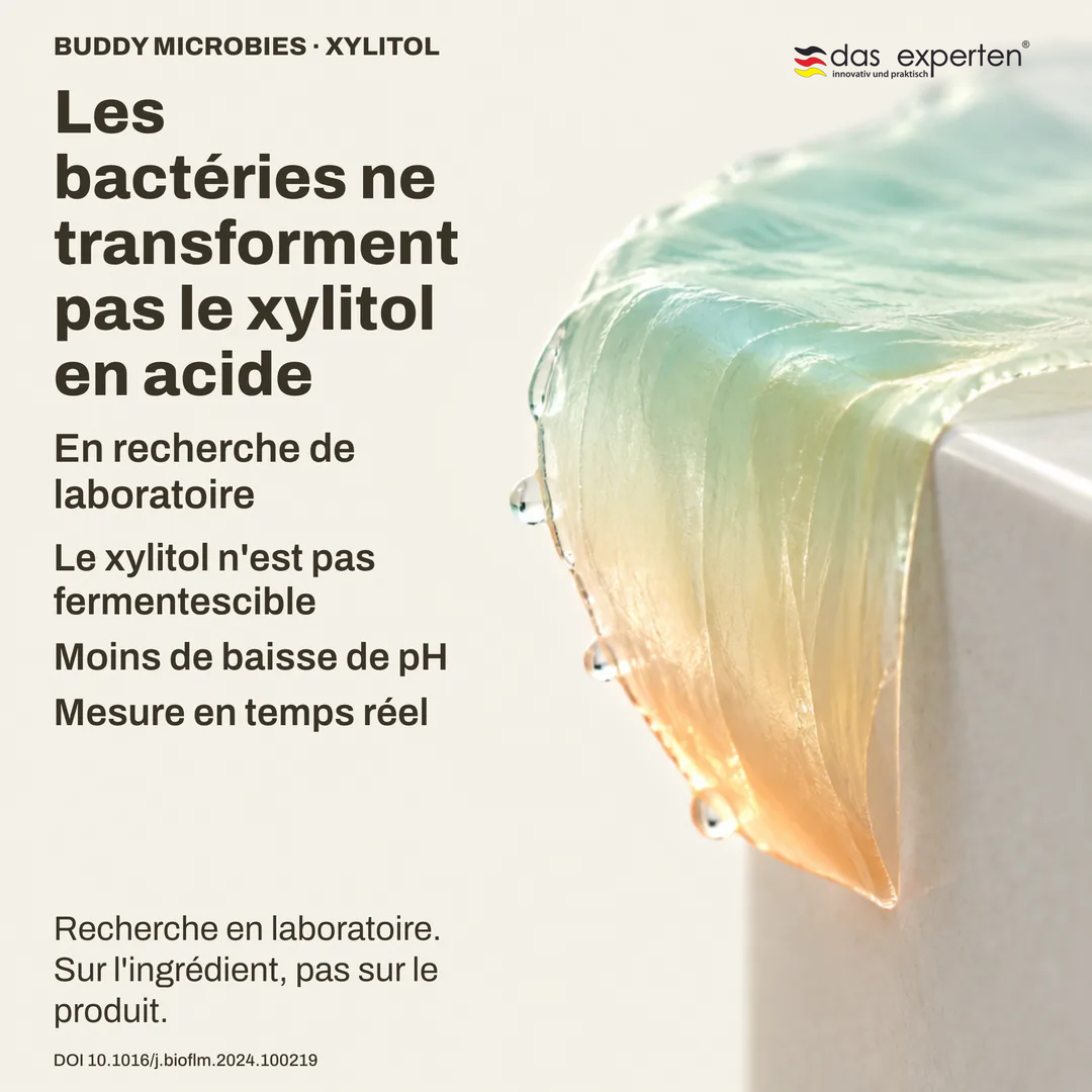 Illustration d'une mesure de pH dans un biofilm : avec le xylitol, le pH baisse moins, recherche sur l'ingrédient