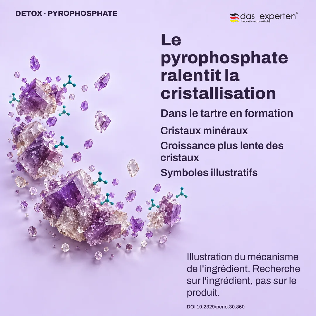 Illustration de cristaux minéraux du tartre en formation qui grandissent plus lentement avec le pyrophosphate