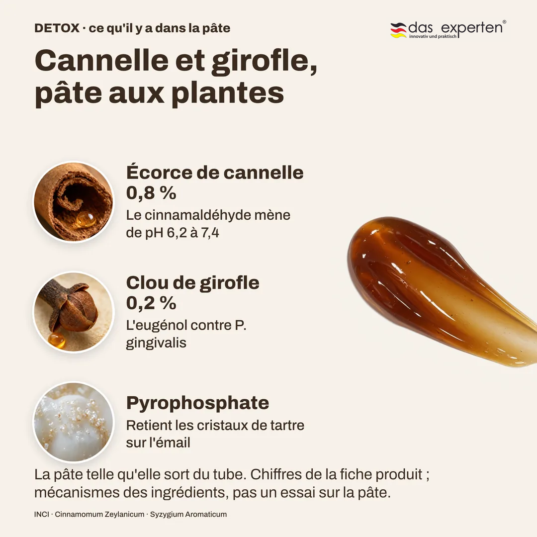 Cannelle et girofle, pâte aux plantes, Écorce de cannelle 0,8 %; Clou de girofle 0,2 %; Pyrophosphate