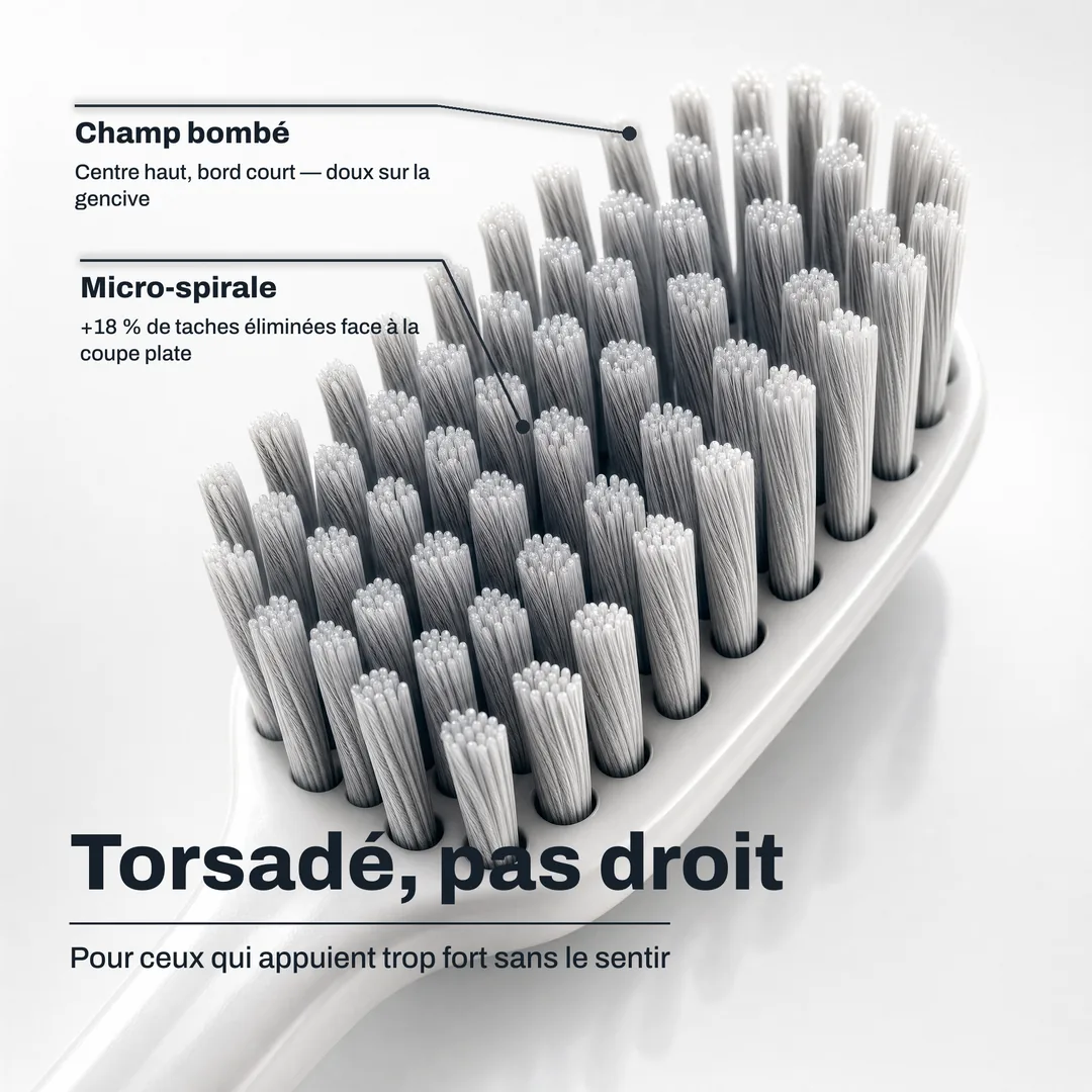 Torsadé, pas droit, Pour ceux qui appuient trop fort sans le sentir · Micro spirale: +18 % de taches éliminées face à la coupe plate · Champ bombé: Centre haut, bord court, doux sur la gencive