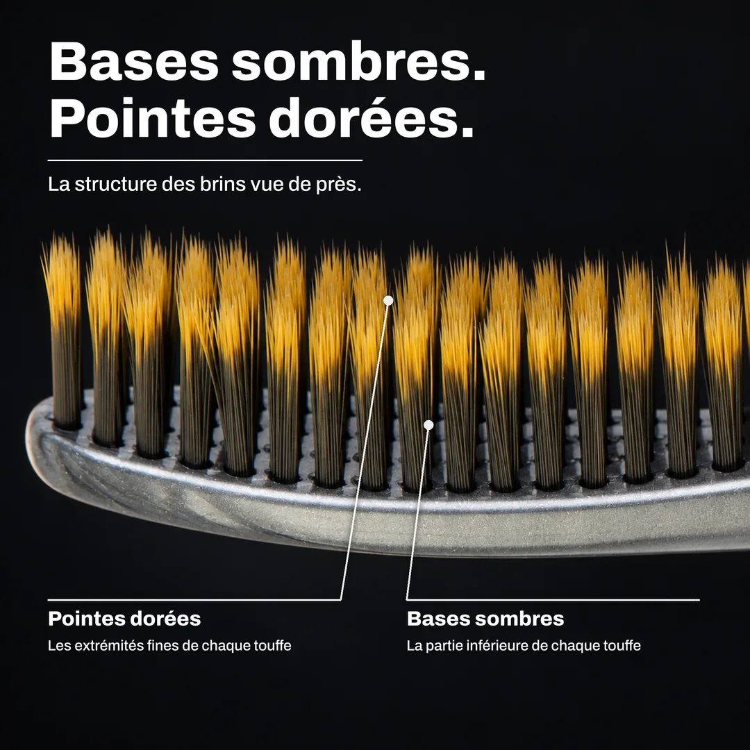 Bases sombres. Pointes dorées. La structure des brins vue de près. Pointes dorées: Les extrémités fines de chaque touffe. Bases sombres: La partie inférieure de chaque touffe.