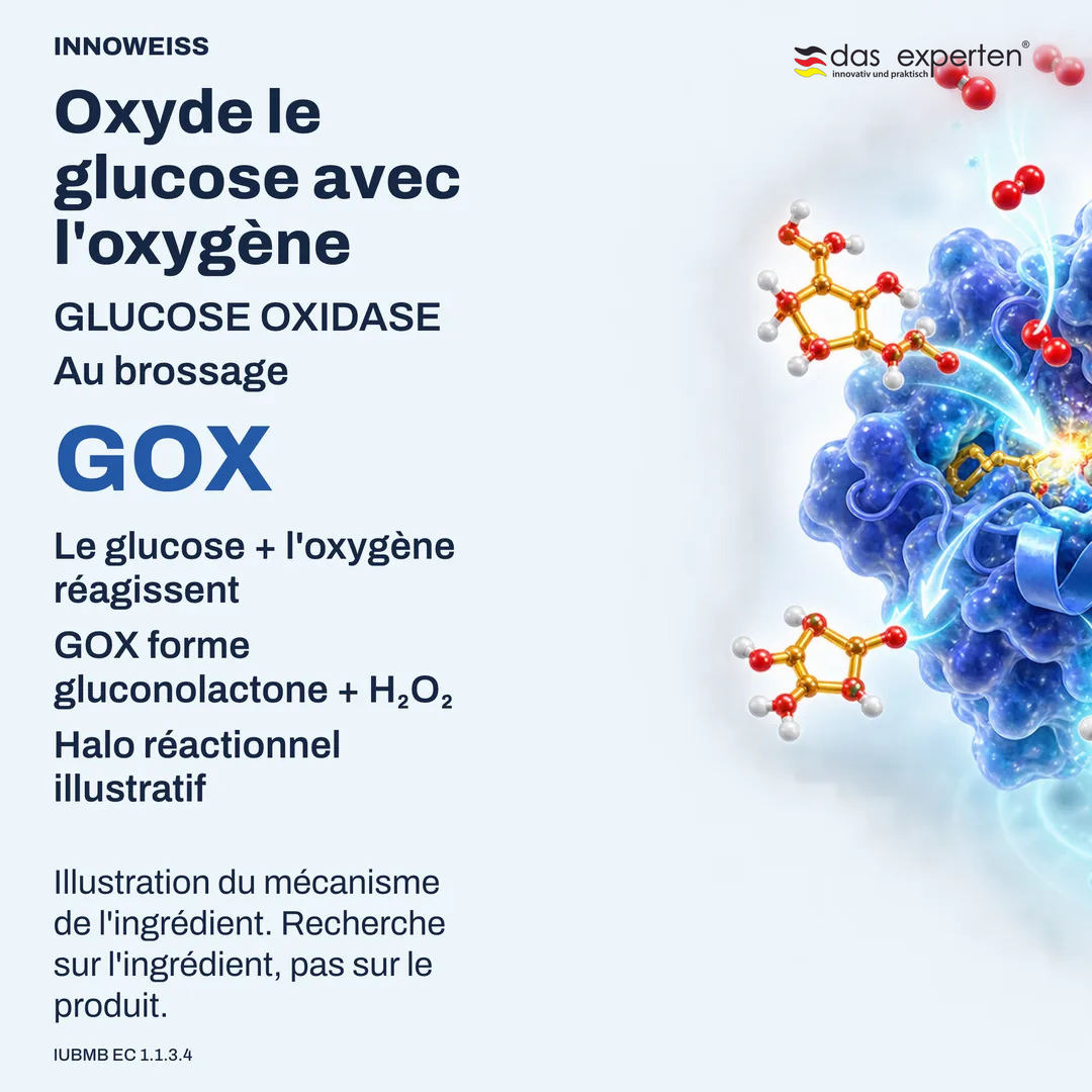 Illustration de la glucose oxydase transformant le glucose avec l'oxygène en gluconolactone et peroxyde d'hydrogène